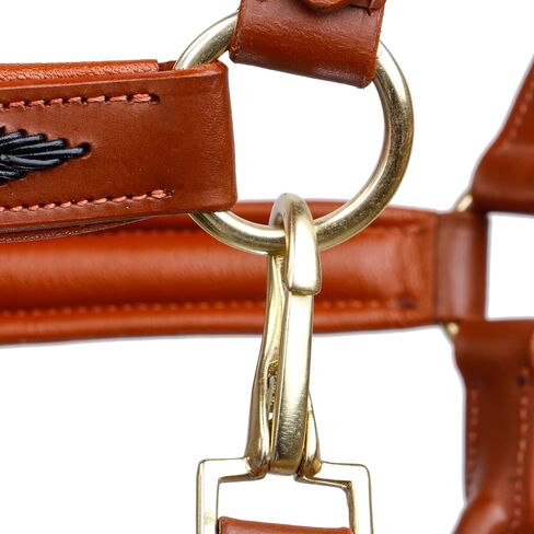 SIE English Horse Leather Braided Tan Black and Havana Halter in Kuwait