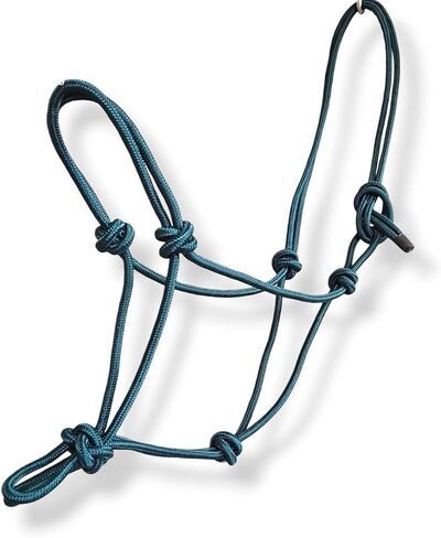 Premium Rope Horse Halter, Teal Blue, Braided Nylon, Standard Size, Training Headstall with Adjustable Noseband, Knotted Design in Saudi Arabia