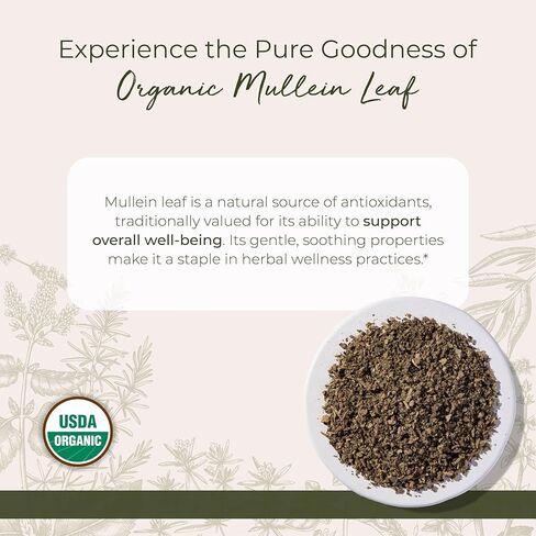 Starwest Botanicals Organic Mullein Leaf Cut & Sifted, 4 Ounces in Saudi Arabia