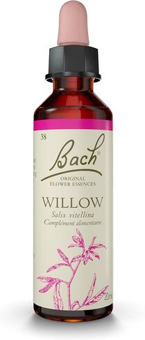 Bach Original Flower Remedies, Olive for Energy, Natural Homeopathic Flower Essence, Holistic Wellness and Stress Relief, Vegan, 20mL Dropper in Kuwait