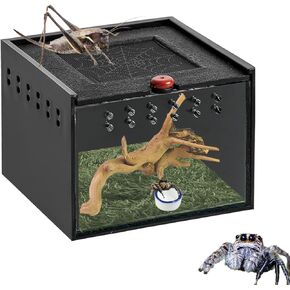 حاوية عنكبوت قفز أكريليك، تررم عنكبوتي مع خشب غارق وعشب، صندوق عنكبوت مع وعاء ماء، حاوية عنكبوتية شجرية، موئل عنكبوت قافز للعناكب والحشرات الصغيرة in Kuwait