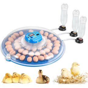 Newhai 52 حاضنة البيض التجارية التلقائي آلة تفريخ الدواجن التحكم في درجة الحرارة in Kuwait