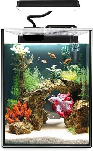 iPriro Glass Betta Aquarium Starter Kits 1.5 جالون خزان أسماك صغير، خزان أسماك بيتا مع ضوء LED، فلتر طاقة، أسود. زجاج 4 ملم in Kuwait
