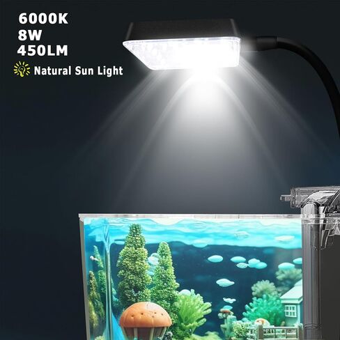 iPriro Glass Betta Aquarium Starter Kits 1.5 جالون خزان أسماك صغير، خزان أسماك بيتا مع ضوء LED، فلتر طاقة، أسود. زجاج 4 ملم in Kuwait