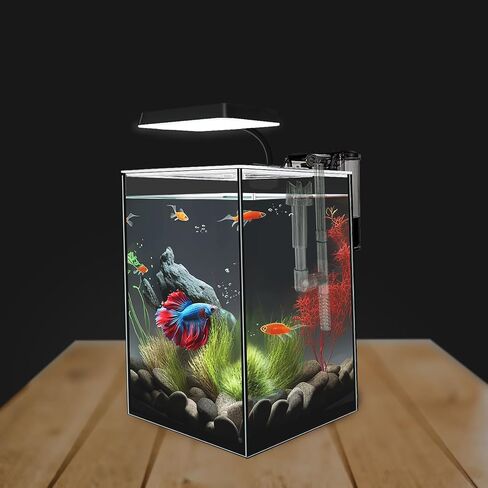 iPriro Glass Betta Aquarium Starter Kits 1.5 جالون خزان أسماك صغير، خزان أسماك بيتا مع ضوء LED، فلتر طاقة، أسود. زجاج 4 ملم in Kuwait