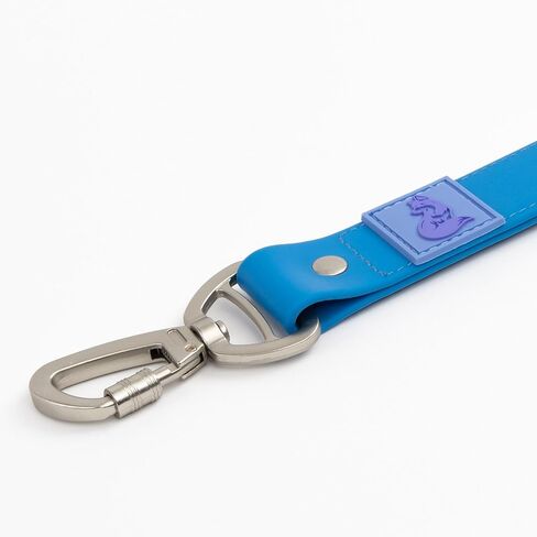 Heavyweight Designer Waterproof Dog Leash in Unique Colors with Locking Carabiner Clip & 2 Handles - 6FT Long - Dirt-Resistant - for Medium, Large and Giant Dogs (Candy Blue/Ultramarine, Wide) in Kuwait