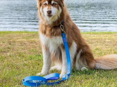 Heavyweight Designer Waterproof Dog Leash in Unique Colors with Locking Carabiner Clip & 2 Handles - 6FT Long - Dirt-Resistant - for Medium, Large and Giant Dogs (Candy Blue/Ultramarine, Wide) in Kuwait