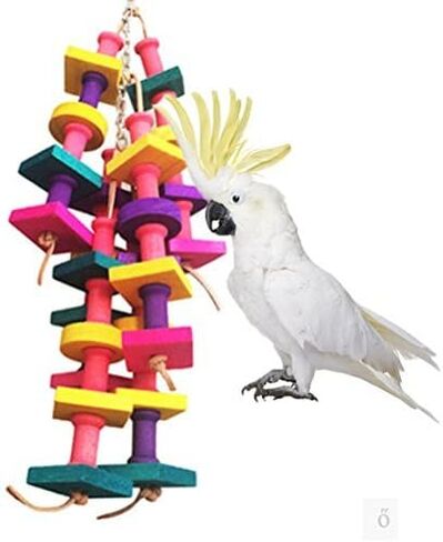 Keersi Natural Wood Bird Chew Toy for Medium Large Parrot Conure Macaw African Grey Amazon Cockatoo Amazon Budgies Parakeet Cockatiel Lovebird Finch Cage in Kuwait