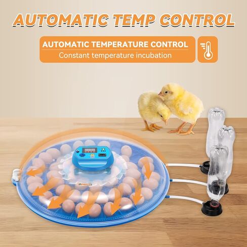 Newhai 52 حاضنة البيض التجارية التلقائي آلة تفريخ الدواجن التحكم في درجة الحرارة in Kuwait