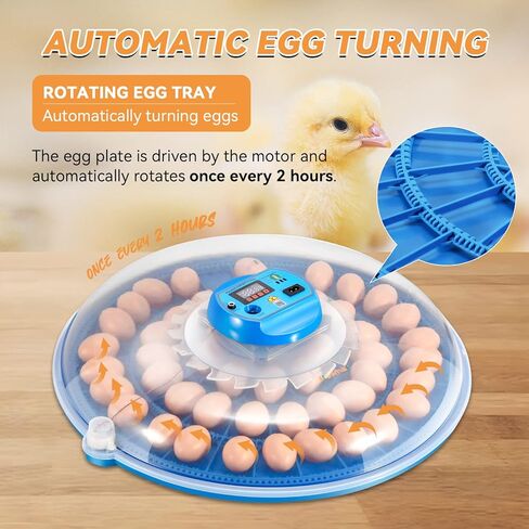Newhai 52 حاضنة البيض التجارية التلقائي آلة تفريخ الدواجن التحكم في درجة الحرارة in Kuwait
