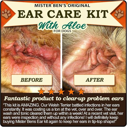 مجموعة أدوات العناية بالأذن الأصلية للكلاب من MISTER BEN - تتضمن منشطًا وغسولًا in Kuwait