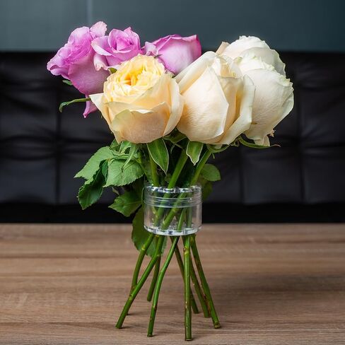 2-Pack Spiral Ikebana Stem Holder, Spiral Branch Holder for Creating Amazing Bouquets, Flower Stem Holder for Making Spiral Bouquets, Flower Arrangement Holder (2 Pack, 19 Holes & 9 Holes) in Kuwait