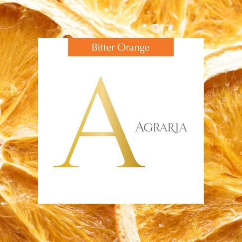 عبوة إعادة تعبئة عطر المنزل بياسمين البحر الأبيض المتوسط ​​من إيرا أجراريا - روائح الياسمين وزهر العسل ومسك الروم - تعمل مع موزع الروائح العطرية إيرا in Saudi Arabia