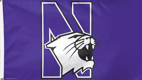 Wincraft NCAA Northwestern 02278115 Deluxe Flag, 3' x 5' in Saudi Arabia