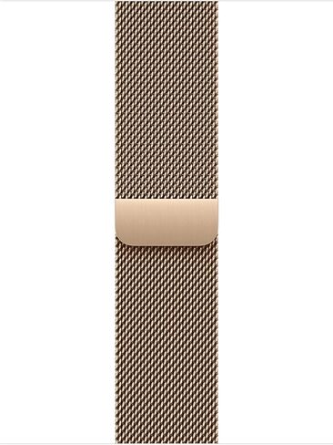 Apple Watch Band - Milanese Loop - 40mm - Gold - One Size in Saudi Arabia