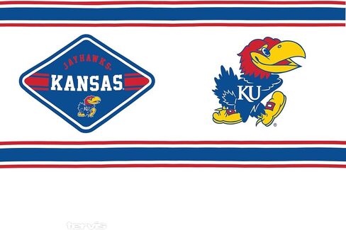 Tervis Kansas Jayhawks - First String Made in USA Double Walled Insulated Tumbler Travel Cup Keeps Drinks Cold & Hot, 24oz, Classic in Saudi Arabia