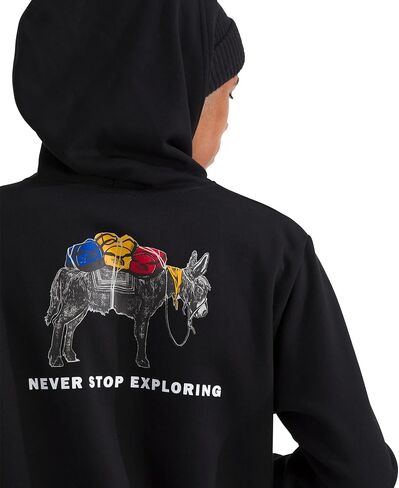 The North Face mens Evolution Pack Hoodie in Saudi Arabia
