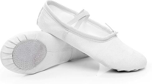 Women's Ballet Shoes Portable Adult Dance Shoes Stretch Canvas Flat Dance Practice Shoe for Women in Saudi Arabia