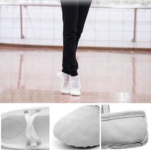 Women's Ballet Shoes Portable Adult Dance Shoes Stretch Canvas Flat Dance Practice Shoe for Women in Saudi Arabia