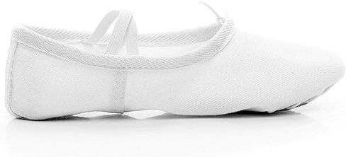 Women's Ballet Shoes Portable Adult Dance Shoes Stretch Canvas Flat Dance Practice Shoe for Women in Saudi Arabia