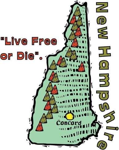ملصق CafePress Green New Hampshire Live Free Or Die (ملصق ممتص الصدمات للسيارة بيضاوي الشكل in Saudi Arabia