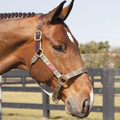 Nylon Halter for Horses with Breakaway Leather Crown - Size: Horse -Traditional Plaid in Saudi Arabia
