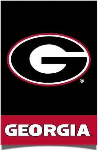 Desert Cactus University of Georgia Poster UGA Bulldogs 11 x 17 Inch Room Office Décor Decoration Official Fan Gear (11x17 inch,Classic A) in Saudi Arabia