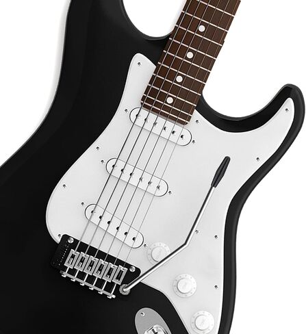 2Pcs 6mm & 5mm Whammy Bar Thread Tremolo Arm Electric Guitar Tremolo Arm Whammy Bar with Tip Metal Single Tremolos Arms (Silver) in Kuwait