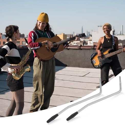 2Pcs 6mm & 5mm Whammy Bar Thread Tremolo Arm Electric Guitar Tremolo Arm Whammy Bar with Tip Metal Single Tremolos Arms (Silver) in Kuwait