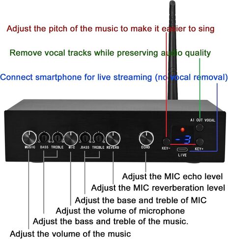 Wireless Microphone Karaoke Mixer System Machine-Aik089,AI Vocal Remover,Pitch Shifter 12 Levels,DSP Reverb and Echo,Feedback Suppression,HDTV with Mic,Support BT Devices or RCA 3.5mm HDTV in/Out in Saudi Arabia