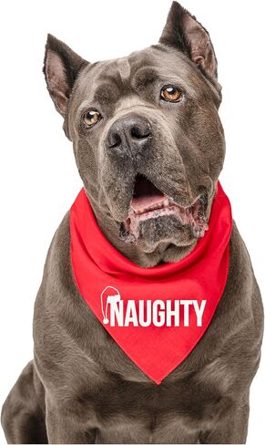 Naughty Dog Bandana | 100% Cotton | Made in USA | Christmas | Holiday Costume | Santa Claus & Elf | Stocking Stuffers | Photoshoot Prop |Red, One Size (105) in Saudi Arabia