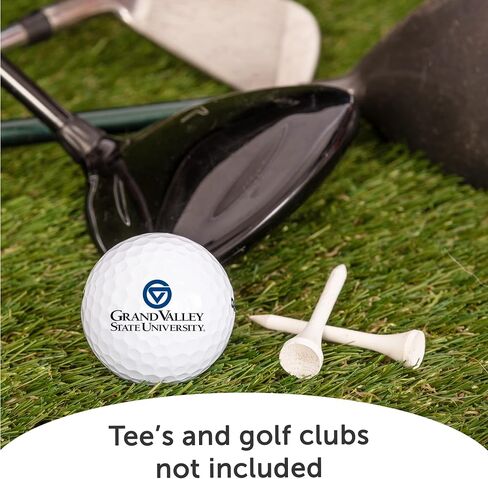 Desert Cactus Grand Valley State University Dozen Golf Balls - Full Color 12 Pack, GVSU Lakers Officially Licensed Gear in Saudi Arabia