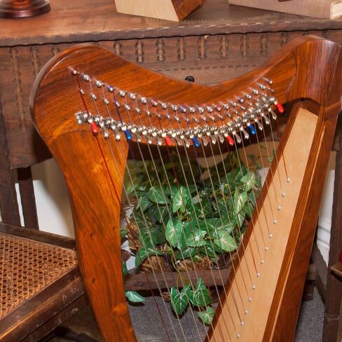 Roosebeck 22-String 5-Panel Heather Harp w/Chelby Levers in Saudi Arabia