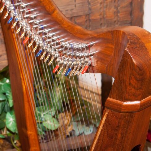 Roosebeck 22-String 5-Panel Heather Harp w/Chelby Levers in Saudi Arabia