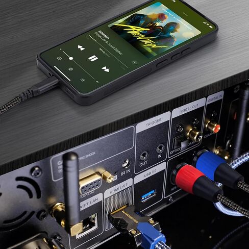 كابل صوت USB C إلى Dual XLR ذكر، كابل صوت ستيريو من النوع C إلى 2 XLR ذكر للهواتف الذكية، والكمبيوتر المحمول إلى مكبر صوت يعمل بالطاقة، وخلاط الصوت، ومكبر الصوت | تقليل الضوضاء وموصلات مطلية بالذهب - 6.6 قدم in Kuwait