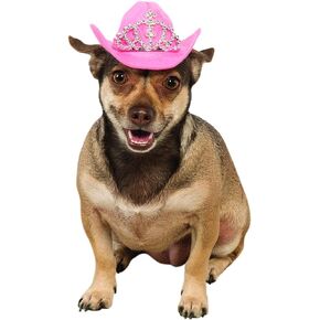 زي روبيز المخملي ذو الياقة المهرجة للحيوانات الأليفة، مقاس كبير/كبير جدًا، متعدد الألوان in Kuwait