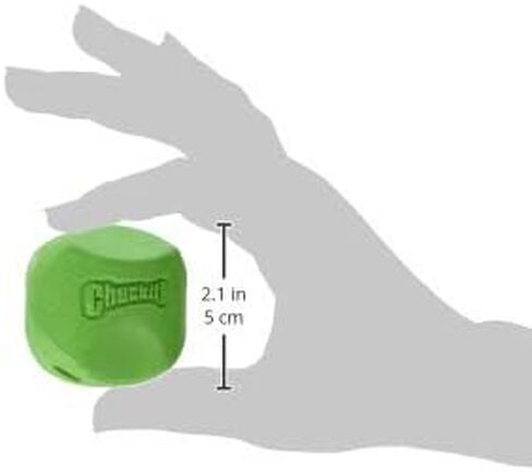 ChuckIt! Dog Erratic Ball (Large, 3-Inch, 1-Pack) in Saudi Arabia