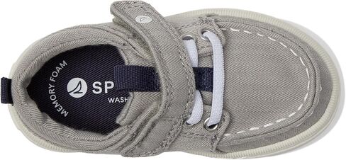 دانتيل خارجي للأولاد من Sperry قابل للغسل (طفل صغير/طفل صغير) رمادي 12 طفل صغير M in Kuwait