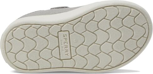 دانتيل خارجي للأولاد من Sperry قابل للغسل (طفل صغير/طفل صغير) رمادي 12 طفل صغير M in Kuwait