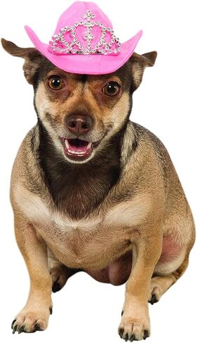 زي روبيز المخملي ذو الياقة المهرجة للحيوانات الأليفة، مقاس كبير/كبير جدًا، متعدد الألوان in Kuwait