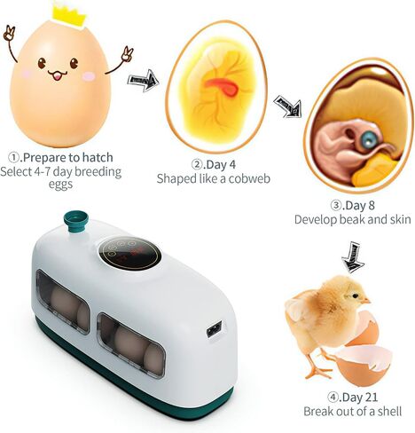 QMCAHCE Egg Incubator, Digital Eggs Incubators for Hatching Eggs, Humidity Control LED Egg Incubators with Egg Candler Tester, for Hatching Chicken Duck Quail Bird Eggs(Pink) in Saudi Arabia
