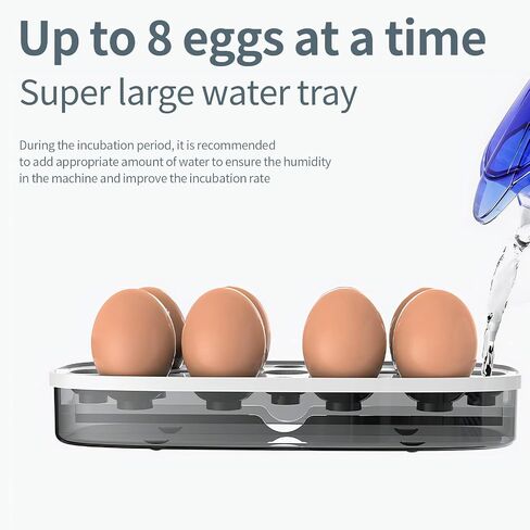 QMCAHCE Egg Incubator, Digital Eggs Incubators for Hatching Eggs, Humidity Control LED Egg Incubators with Egg Candler Tester, for Hatching Chicken Duck Quail Bird Eggs(Pink) in Saudi Arabia