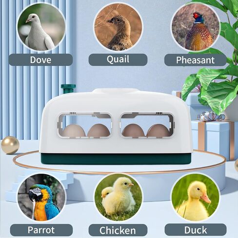 QMCAHCE Egg Incubator, Digital Eggs Incubators for Hatching Eggs, Humidity Control LED Egg Incubators with Egg Candler Tester, for Hatching Chicken Duck Quail Bird Eggs(Pink) in Saudi Arabia