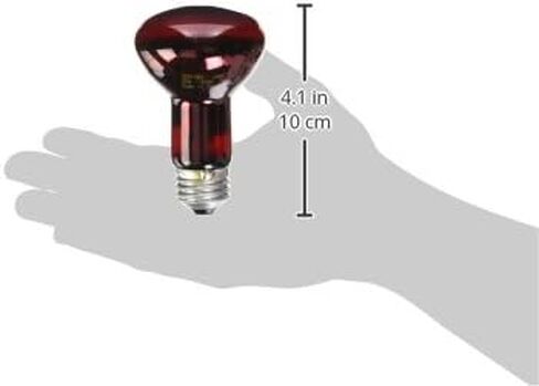 Zoo Med Nocturnal Infrared Heat Lamp 50 Watts in Saudi Arabia