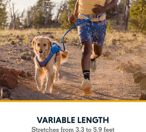 Ruffwear، مقود Trail Runner، حزام مطاطي مدمج وخفيف الوزن، مشبك قفل Crux، حمام سباحة أزرق، كبير in Kuwait