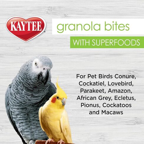 Kaytee Granola Bites with Super Foods Granola Bites and Flax for Pet Birds Conure, Cockatiel, Lovebird, Parakeet, Amazon, African Grey, Ecletus, Pionus, Cockatoos and Macaws, 4.50 Ounce (Pack of 1) in Saudi Arabia