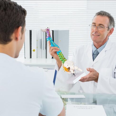 نموذج صغير للعمود الفقري البشري من بريسكي للأطفال، نموذج تشريح العمود الفقري مقاس 17 بوصة مع أعصاب، نموذج فقري مع حامل لطلاب الطب وأطباء العظام وتقويم العمود الفقري in Kuwait