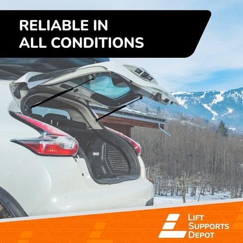 Lift Supports Depot Qty (2) 6.35 Inch 20lbs 5/16 Inch Eyelet Ends "Stainless Steel" Lift Supports, Gas Struts 6/15 Marine Grade Shocks in Saudi Arabia