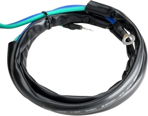 63P-43880 Trim Tilt Motor For Yamaha 4 Stroke 150HP F150 Boat Motor 63P-43880-10 63P-43880-11 63P-43880-00 Engine Parts in Saudi Arabia