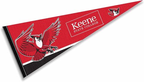 Keene State Owls Wordmark Logo Pennant Flag in Saudi Arabia